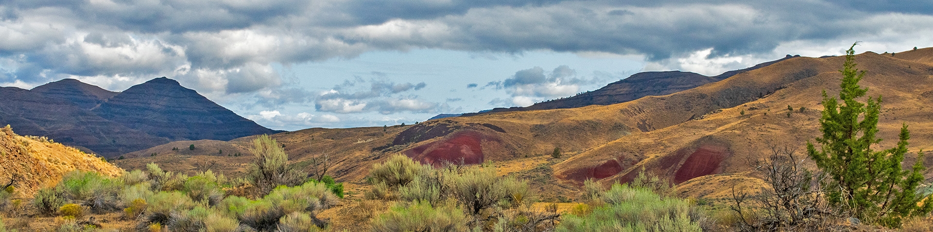 Oregon desert