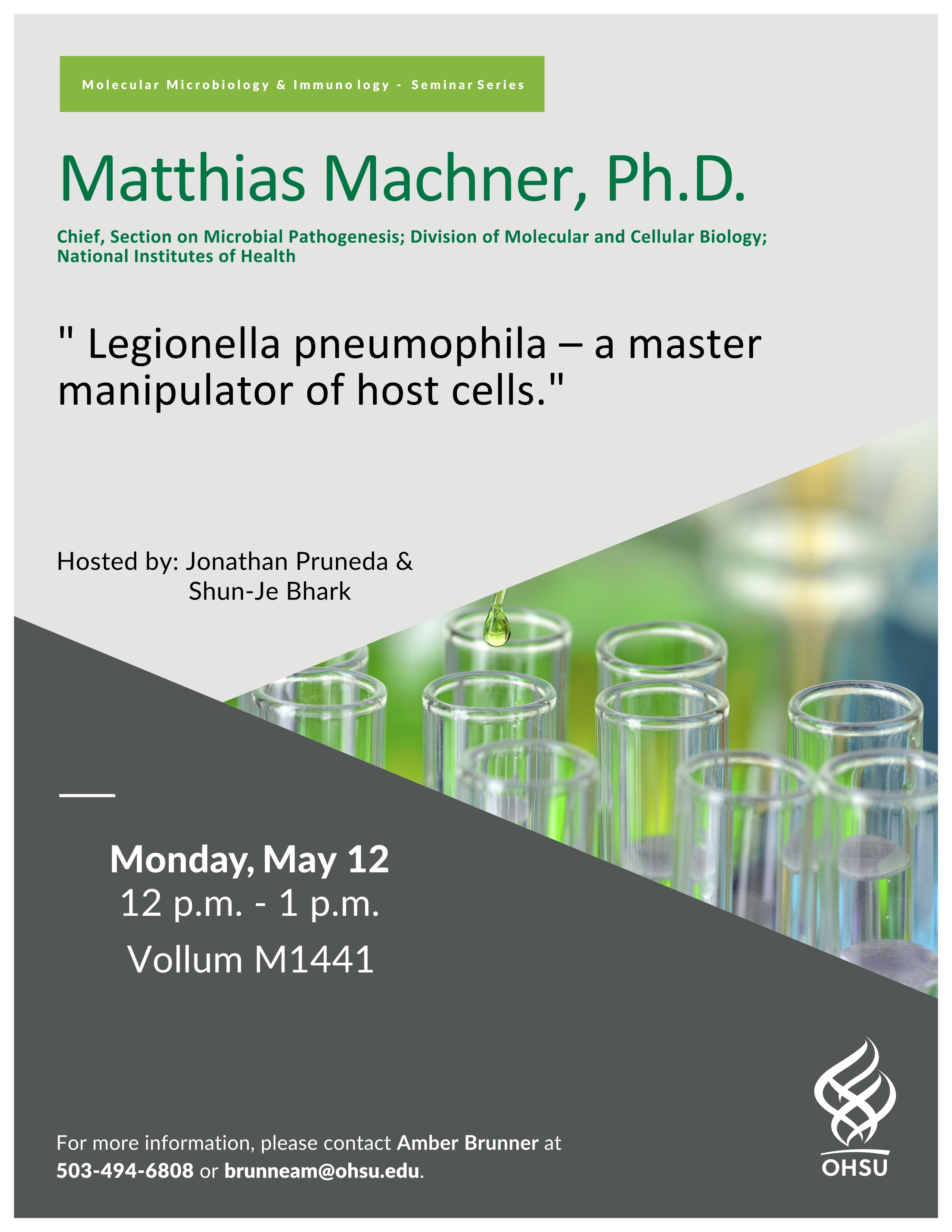 Machner Flyer