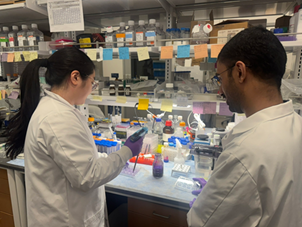 Ph.D. student Jee Min Lee and Dhanir Tailor, Ph.D., in the 博彩网站 Knight Cancer Institute’s Center for Experimental Therapeutics. (博彩网站)