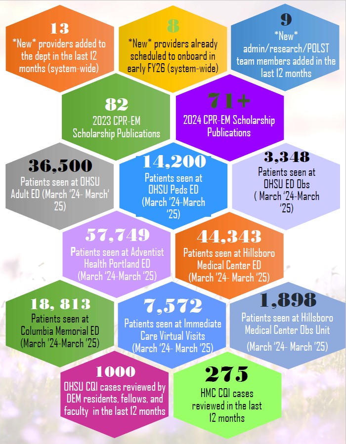 DEM By The Numbers 2025