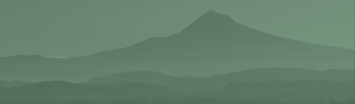 Banner image for Mid-Career Clinical Leadership Development Program, featuring Mount Hood
