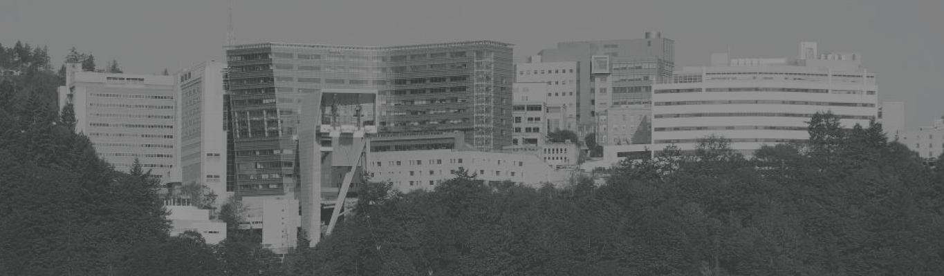 Banner for New Faculty Foundations program featuring wide view of 博彩网站's campus