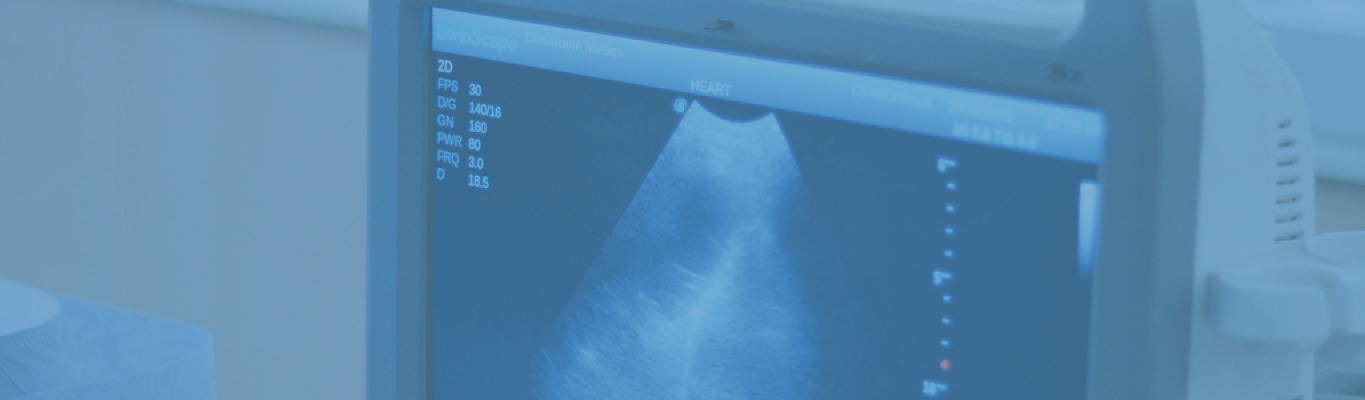 Point of Care Ultrasound Champion Program banner displaying an ultrasound result